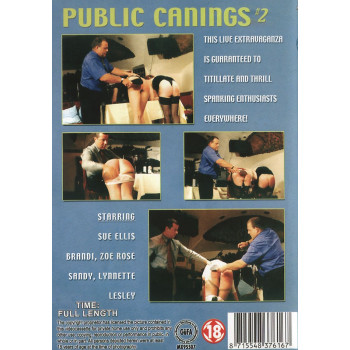 Public Cannings 2 - Spanking