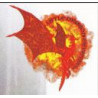 Little Dragon Pictures